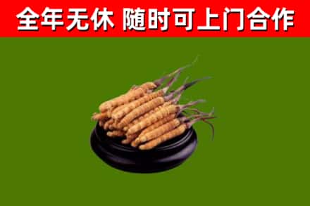 罗田县烟酒回收冬虫夏草.jpg